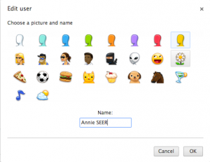 set up user in Chrome