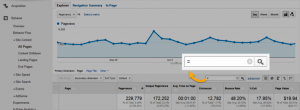 Google Analytics report filter