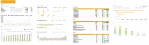 Excel dashboard built from Google Analytics API data