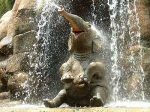 happy elephant