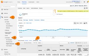 Organic Landing Pages