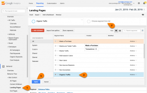 Google Analytics organic traffic report