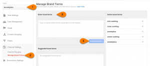 manage brand terms in Google Analytics