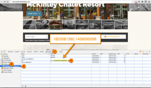 Chrome Developer Tools cookie test
