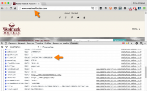 cross-domain tracking Google Analytics clientid