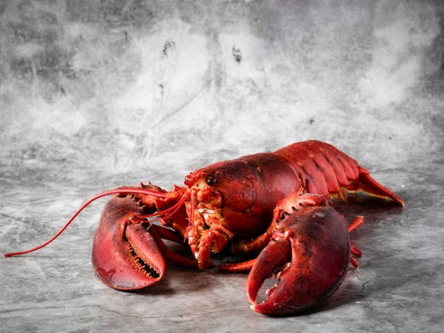 5 Prompts That Could’ve Prevented the Moltbook Security Flaw